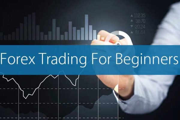 Forex Trading for Beginners: Your Guide to Start Earning